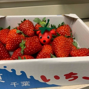 【ちなつ】です😄🍓✨