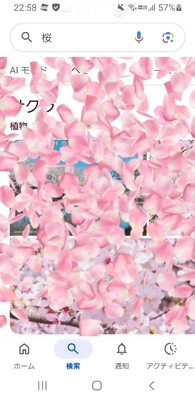 【ちなつ】です😄🌸✨