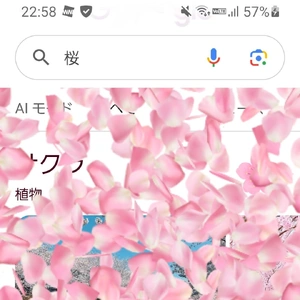 【ちなつ】です😄🌸✨
