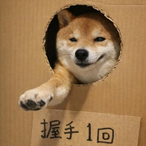 【ちなつ】です😄😺🌃