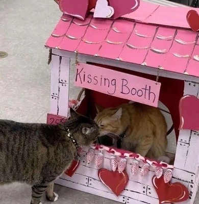 こにゃにゃちわ➰ฅ•ﻌ•ฅ☀️✨