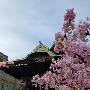【ちなつ】桜編😄🌸✨