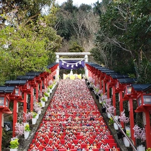 【ちなつ】携帯写真館