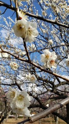 【ちなつ】です😄🌸✨