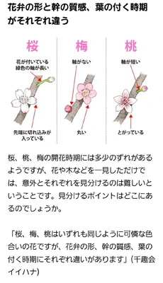 【ちなつ】です😄🐱🌃