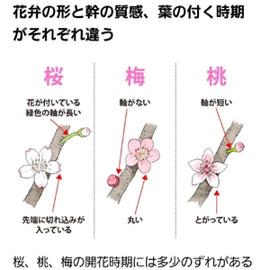 【ちなつ】です😄🐱🌃