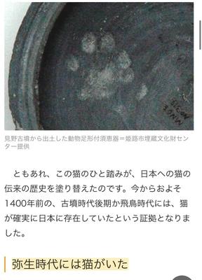 【ちなつ】です😄😺🌃