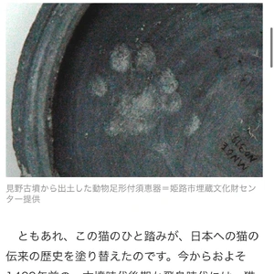 【ちなつ】です😄😺🌃