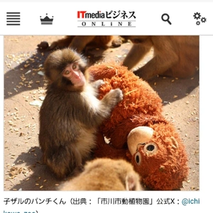 【ちなつ】です😄😺🌃