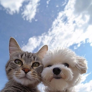 こにゃにゃちわ➰ฅ•ﻌ•ฅ☀️✨