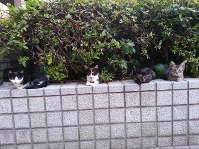 【ちなつ】です😄😺🌃