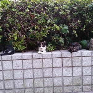 【ちなつ】です😄😺🌃