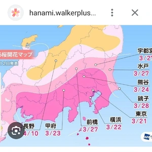 【ちなつ】です😄🌸✨