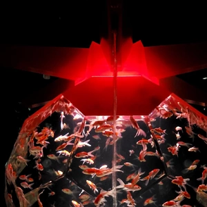 【ちなつ】です😄🐟✨