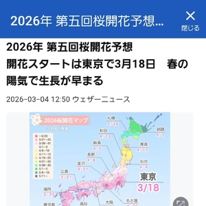 【ちなつ】です😄🌸✨