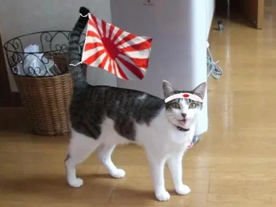 おっはニャンฅ•ﻌ•ฅ☀️✨