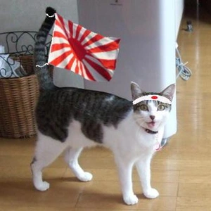 おっはニャンฅ•ﻌ•ฅ☀️✨