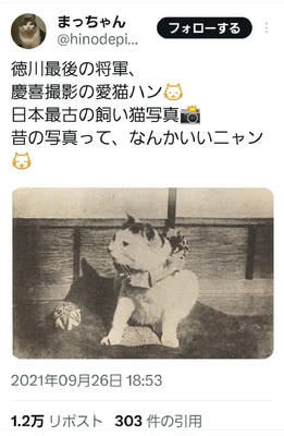 【ちなつ】です😄😺🌃