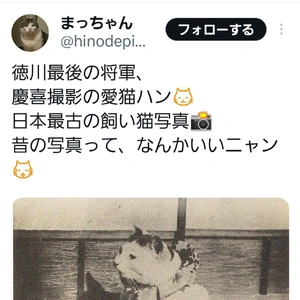 【ちなつ】です😄😺🌃