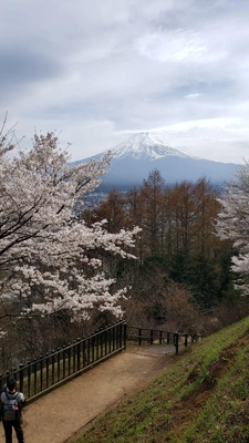 【ちなつ桜編】😄🌸✨