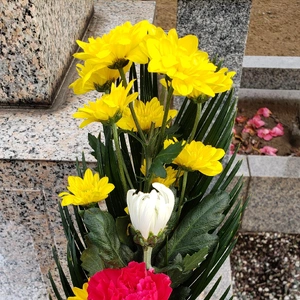 【ちなつ】です😄😺🌃