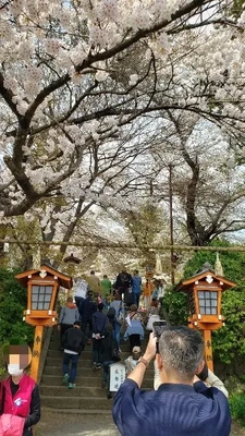 【ちなつ桜編】😄🌸✨