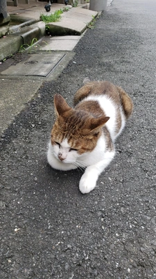 【ちなつ】です😄😺🌃