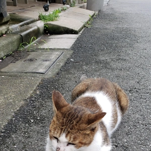 【ちなつ】です😄😺🌃