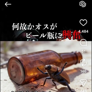 【ちなつ】です😄😺☀️