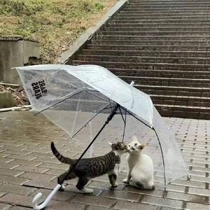 こにゃにゃちわ➰ฅ•ﻌ•ฅ☁️