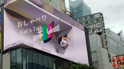 【ちなつ】です😄🐱🌃