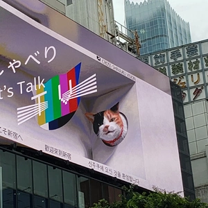 【ちなつ】です😄🐱🌃