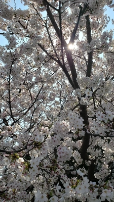 【ちなつ】です😄🌸✨