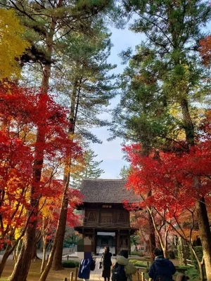 【ちなつ】携帯写真館