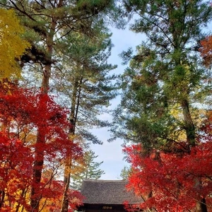 【ちなつ】携帯写真館