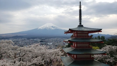 【ちなつ桜編】😄🌸✨