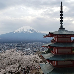 【ちなつ桜編】😄🌸✨