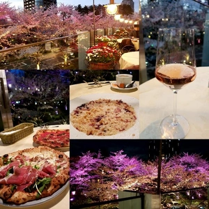 【ちなつ夜桜編】😄🌸✨