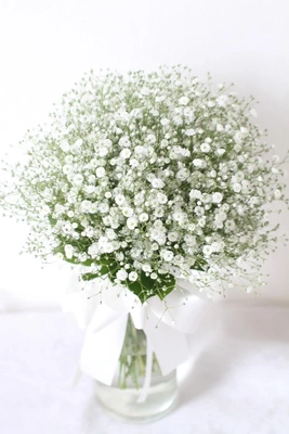 ✨🌼4月誕生花・カスミソウ🌼✨