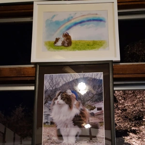 【ちなつ夜桜編】😄🌸✨