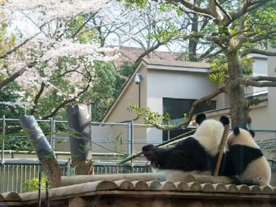 【ちなつ】です😄🐼🌸