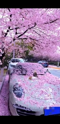 こにゃにゃちわ➰ฅ•ﻌ•ฅ☀️✨