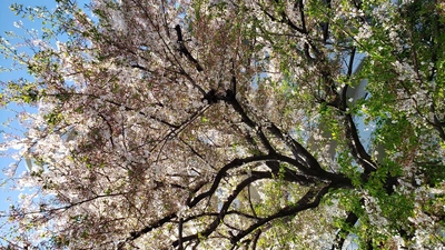 【ちなつ】です😄🌸✨