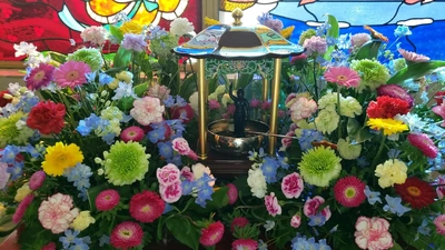 ✨🌼花まつり🌼✨