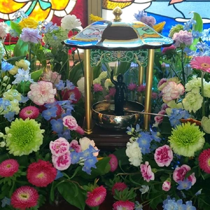 ✨🌼花まつり🌼✨