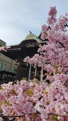 【ちなつ】携帯写真館