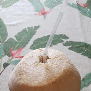 【ちなつ飲み物編】😄🥥✨