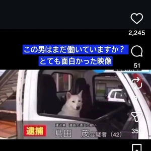 【ちなつ】です😄🐱🌃