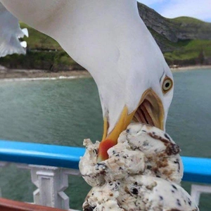 【ちなつ】です😄😺🌃