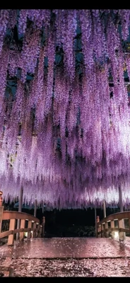 ありがとうございました✨